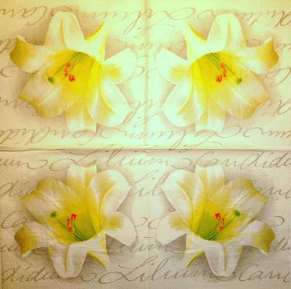 120 Lilies - 3-ply